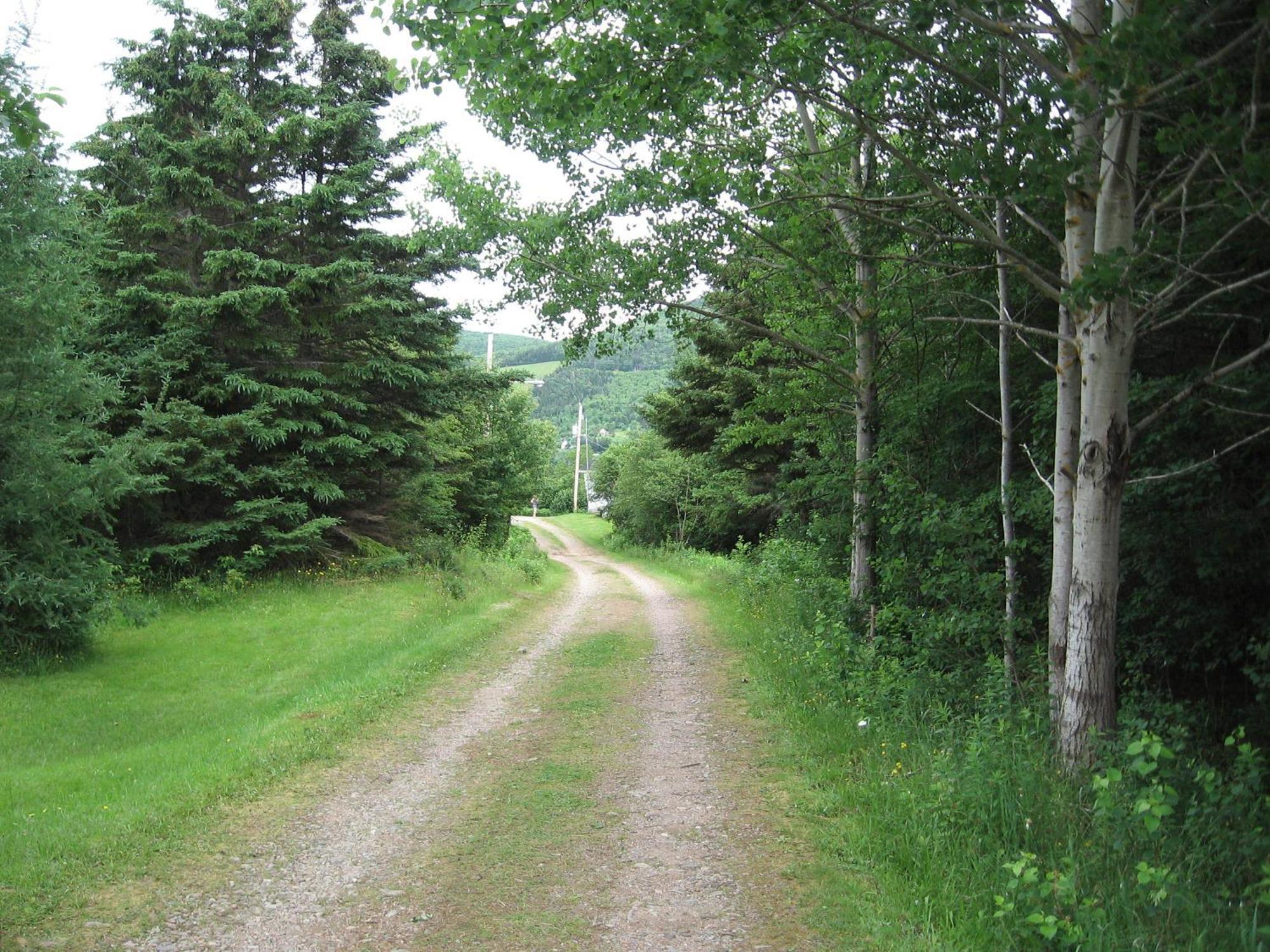 Cajun Cedar Log Cottages Margaree Forks Exterior foto
