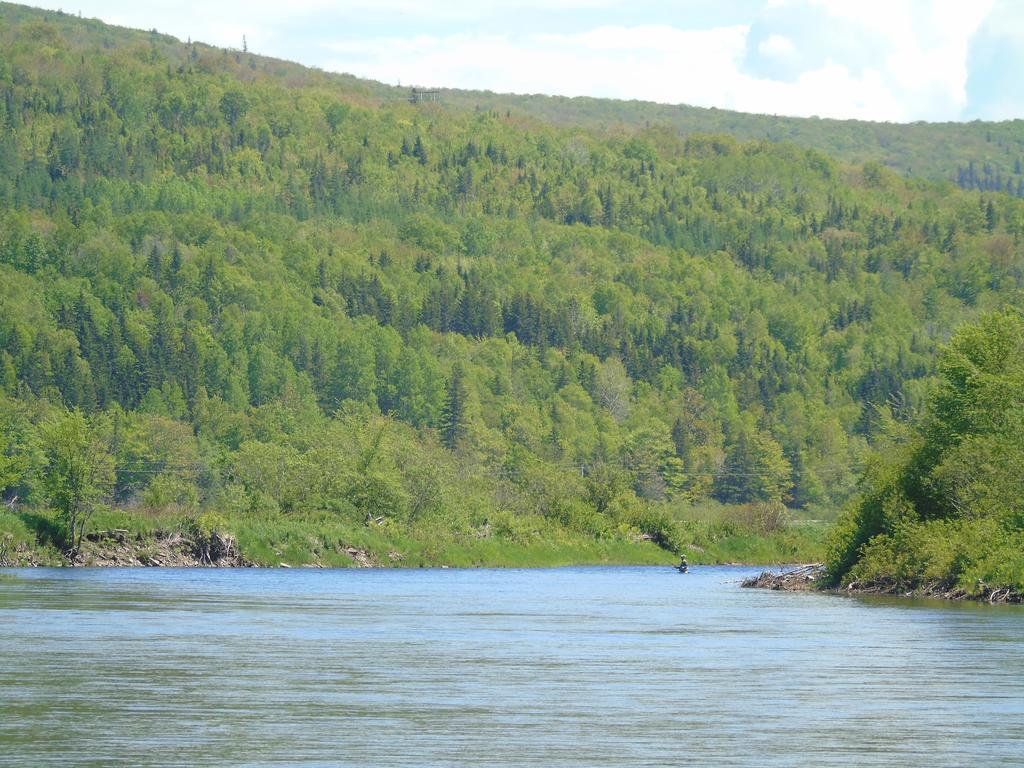 Cajun Cedar Log Cottages Margaree Forks Exterior foto