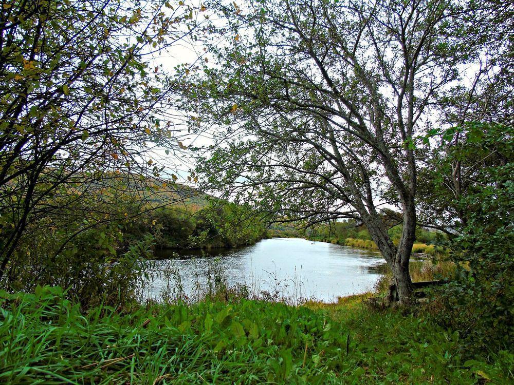 Cajun Cedar Log Cottages Margaree Forks Exterior foto