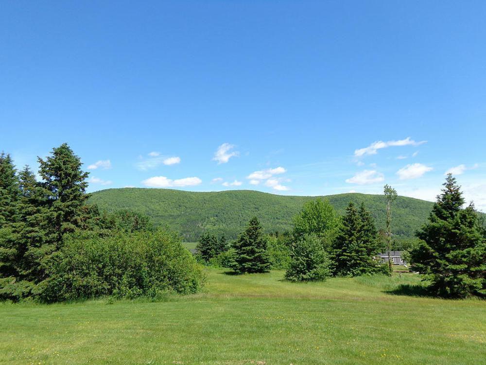 Cajun Cedar Log Cottages Margaree Forks Exterior foto