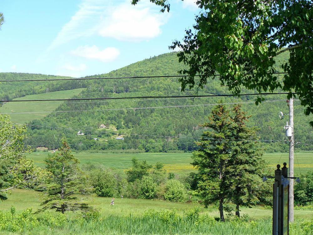 Cajun Cedar Log Cottages Margaree Forks Exterior foto