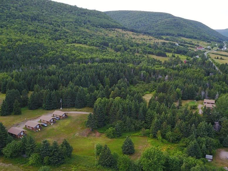 Cajun Cedar Log Cottages Margaree Forks Exterior foto