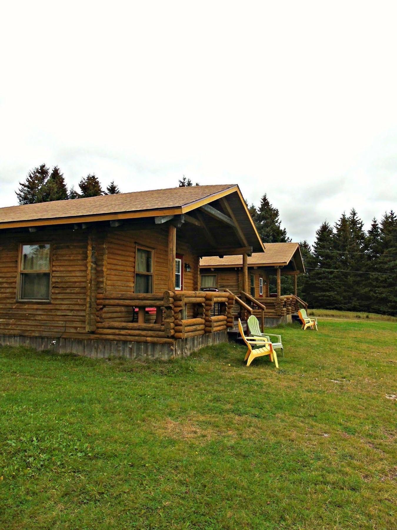 Cajun Cedar Log Cottages Margaree Forks Exterior foto