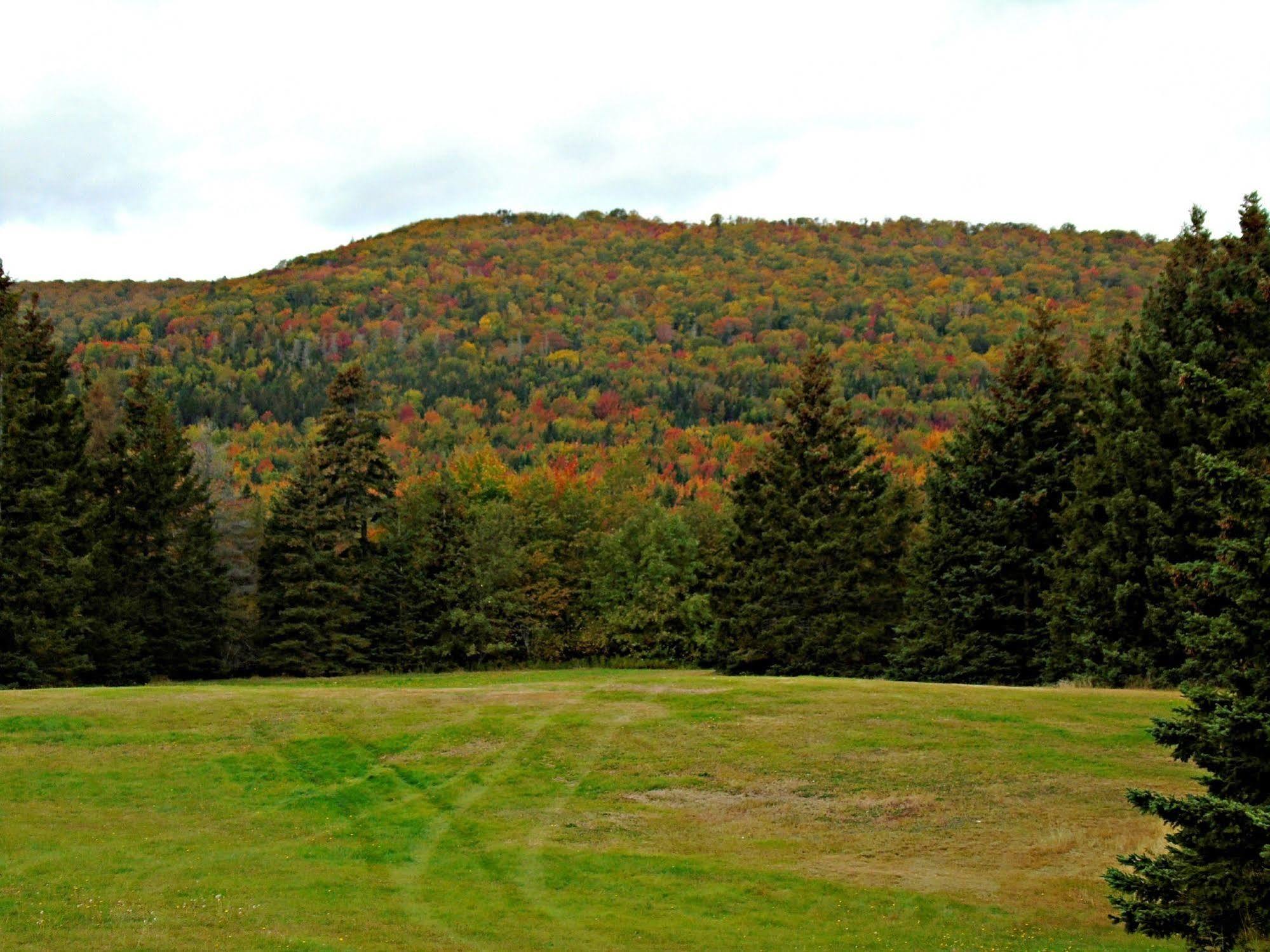 Cajun Cedar Log Cottages Margaree Forks Exterior foto
