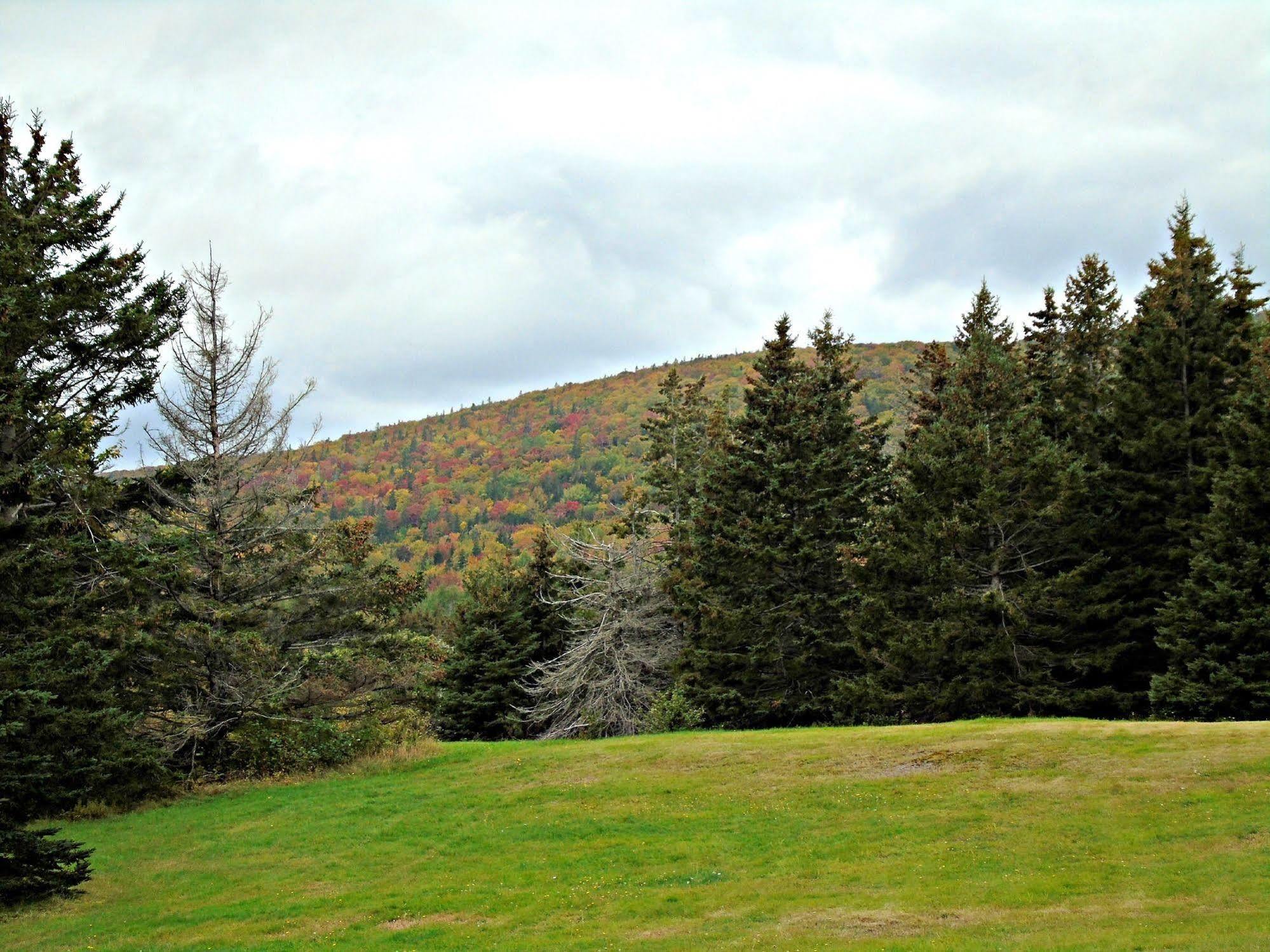Cajun Cedar Log Cottages Margaree Forks Exterior foto